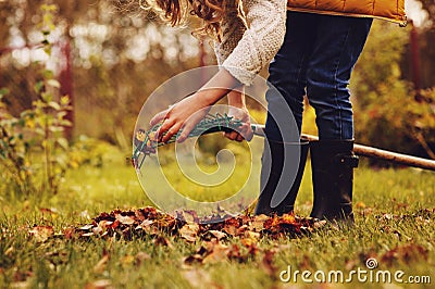 Happy child girl playing little gardener in autumn and picking leaves into basket Stock Photo