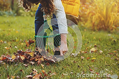 Happy child girl playing little gardener in autumn and picking leaves into basket Stock Photo