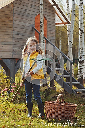 Happy child girl playing little gardener in autumn and picking leaves into basket. Seasonal garden work Stock Photo