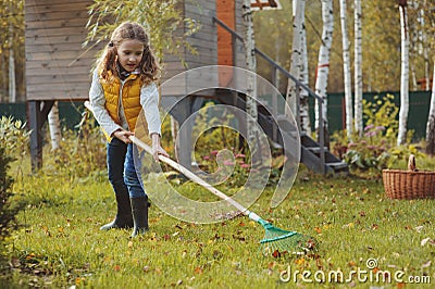 Happy child girl playing little gardener in autumn and picking leaves into basket. Seasonal garden work Stock Photo