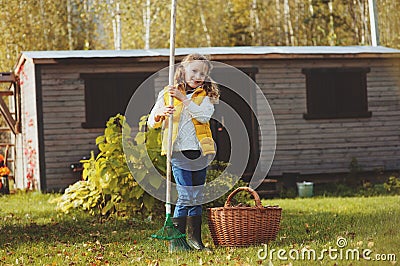 Happy child girl playing little gardener in autumn and picking leaves into basket. Seasonal garden work Stock Photo