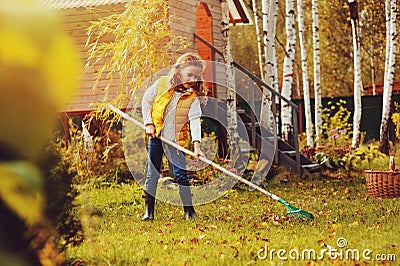 Happy child girl playing little gardener in autumn and picking leaves into basket. Seasonal garden work. Stock Photo