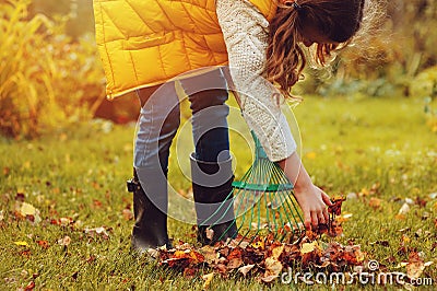 Happy child girl playing little gardener in autumn and picking leaves into basket. Seasonal garden work. Stock Photo