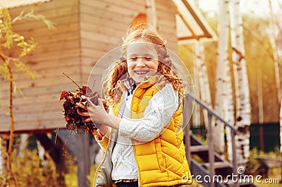 Happy child girl playing little gardener in autumn and picking leaves into basket. Seasonal garden work. Stock Photo