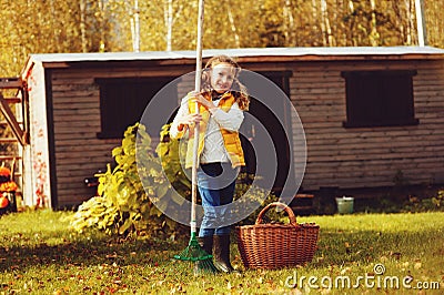 Happy child girl playing little gardener in autumn and picking leaves into basket. Seasonal garden work. Stock Photo
