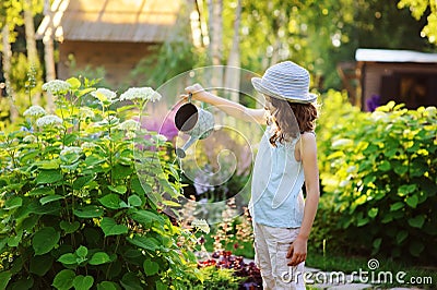 happy child playing little gardener and watering hydrangea bush in sunny summer garden, little helper concept Stock Photo