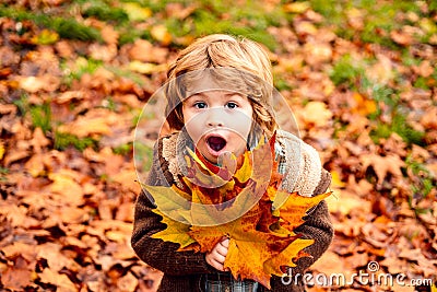 Happy child throws autumn leaves and laughs outdoors. Stock Photo