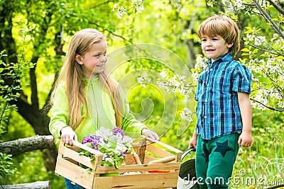 Happy children farmers working with spud on spring field. Active children concept. Nature and children lifestyle Stock Photo