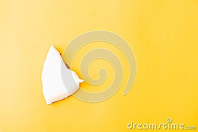 Fresh coconut group pieces slices Stock Photo