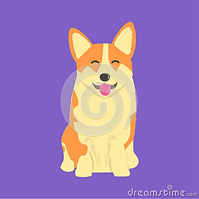 Happy corgi dog with tongue hanging on purple background Vector Illustration