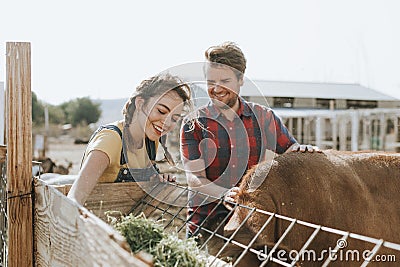 Happy couple feeding cow in a farm Stock Photo