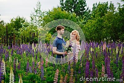 A happy couple in love embraces in a Lupin field. Blooming purple flowers of lupine Stock Photo