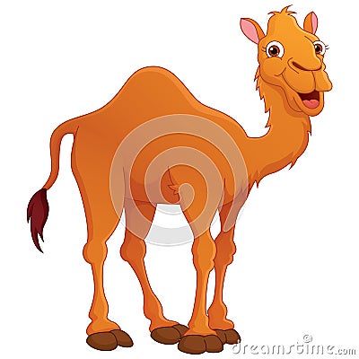 Happy Cute Camel Vector Illustration Vector Illustration