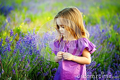 Happy cute little girl is in a lavender field is wearing lilac dress holding bouquet of purple flowers Stock Photo