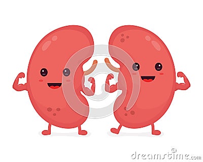 Happy cute smiling healthy kidney. Vector Vector Illustration