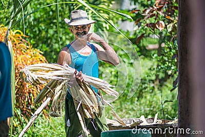 Happy and diligent Cuban senior farmer and groom man capture portrait in old poor countryside, Cuba, America. Editorial Stock Photo