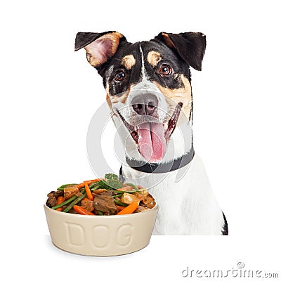 Happy Dog With Bowl of Homemade Food Stock Photo