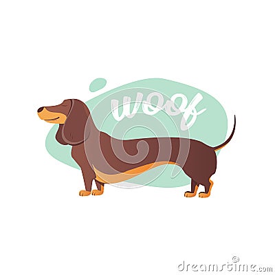 Happy dog Dachshund. The style flat. Vector Illustration