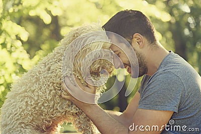 Happy dog and his owner Stock Photo