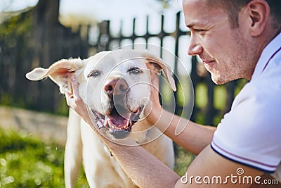 Happy dog and his owner Stock Photo