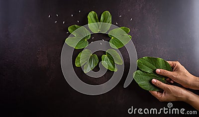 Happy Dussehra. Hand holding green leaf and rice on dark stone background. Dussehra Indian Festival concept Stock Photo