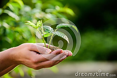 Happy earth day. Eco living. farming and agriculture cultivation. Gardening. new life birth. plant in ground in hands Stock Photo