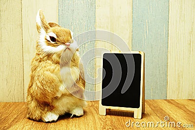 Happy Easter with bunny rabbit and space copy wooden easel background Stock Photo