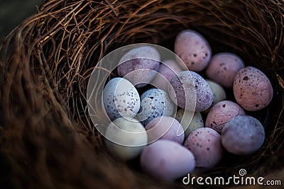 Happy Easter candy easter eggs in birds nest Stock Photo