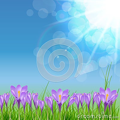 Happy Easter Card with Crocuses Vector Vector Illustration