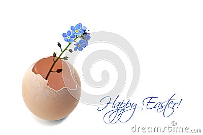 Happy Easter card with spring flowers in eggshell Stock Photo