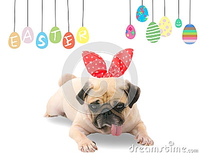 Happy Easter. Dog Pug wearing rabbit bunny ears sleep rest near pastel colorful eggs with copy space. Stock Photo