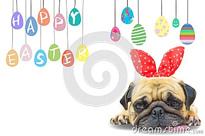 Happy Easter. Dog Pug wearing rabbit bunny ears sleep rest near pastel colorful eggs with copy space. Stock Photo