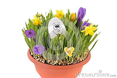 Happy easter eggs and flowers Stock Photo