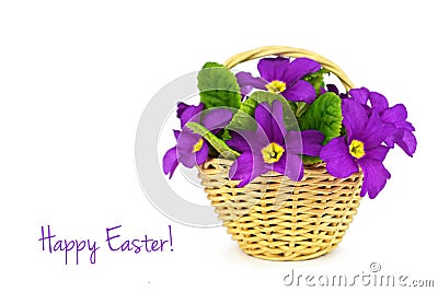 Happy Easter: Flowers in the basket Stock Photo