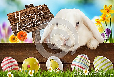 Happy Easter greeting card with white bunny Stock Photo