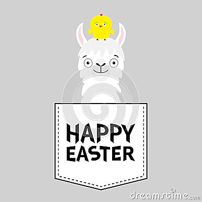 Happy Easter. Llama alpaca face head in the pocket. Chicken. Cute cartoon animals. Kawaii character. Dash line. White and black Vector Illustration