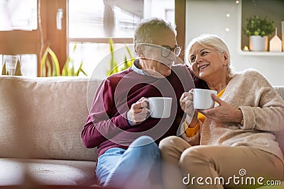 Happy elderly couple relaxing together on the sofa at home Stock Photo