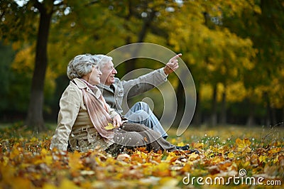 Happy elderly couple Stock Photo