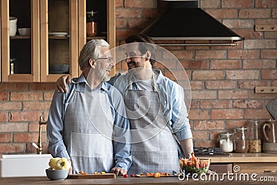 Happy elderly father and adult son cooking in kitchen Stock Photo