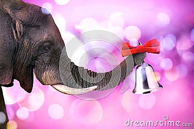 Happy elephant ringing a bell Stock Photo