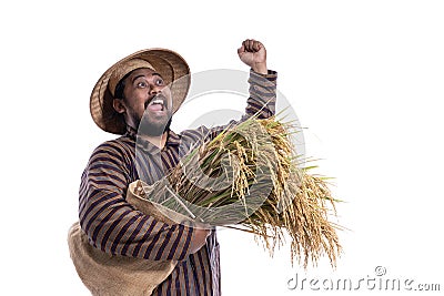 Happy excited traditional farmer with hand raised holding rice Stock Photo