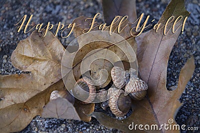 Happy Fall Y`all! with oak leaves and acorns Stock Photo