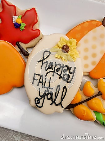 Happy fall y`all sugar cookie plaque decorated to celebrate thanksgiving Stock Photo