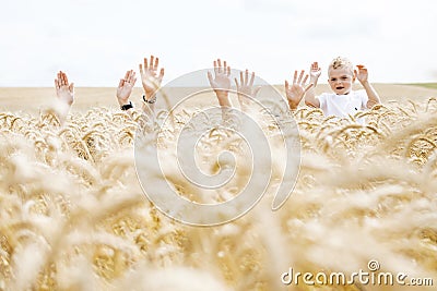 Happy family - brothers, sister and mom have fun on the wheat field. They are buried in wheat and only the hands are visible. Stock Photo