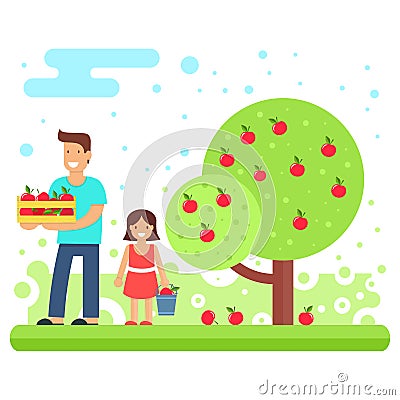 A happy family collects apple crops. Vector Illustration