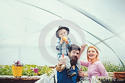 Happy family in greenhouse. Father in blue vest holding his son on shoulders. Cute kid in hat eating apple while his mom Stock Photo