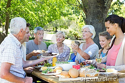 Happy family having picnic in the park Stock Photo