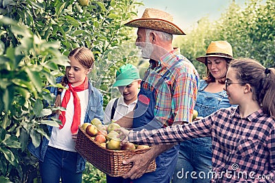 Happy family in orchard Stock Photo