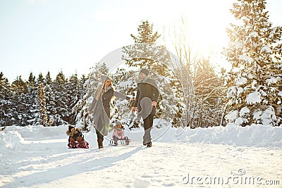 Happy family sledding in the park in winter. Stock Photo