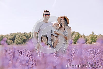 A happy family walks in a blooming lavender field Stock Photo